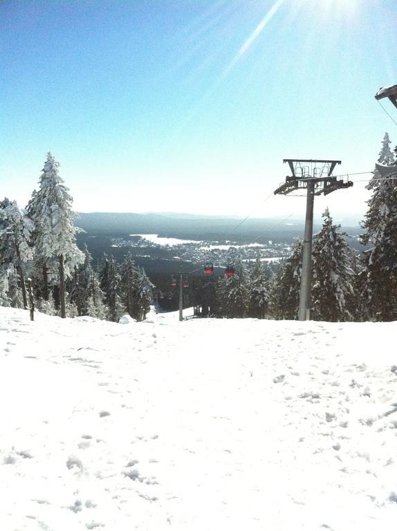 Concordia Harzapart Braunlage Exterior photo